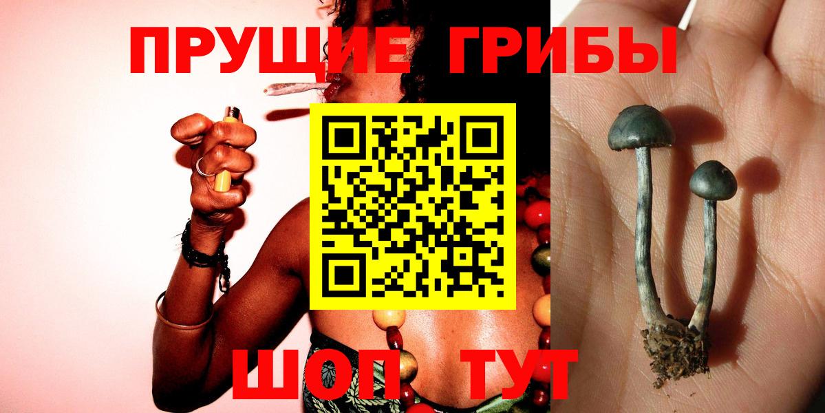 Чебаркуль  Псилоцибиновые грибы Cubensis  Вход с VPN 